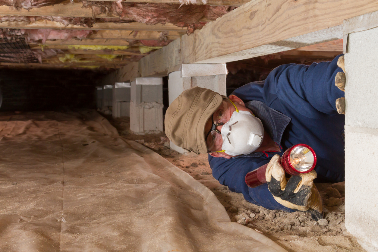 Home Inspection Bingo: You've Got Mold!